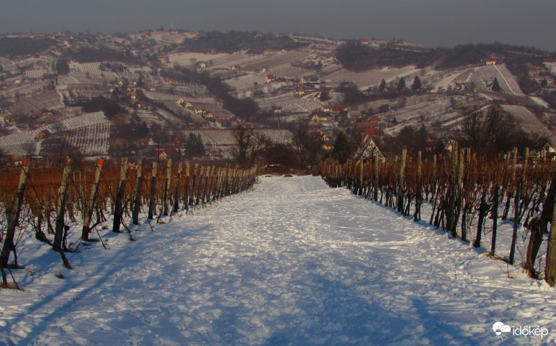 havas szekszárdi domboldal