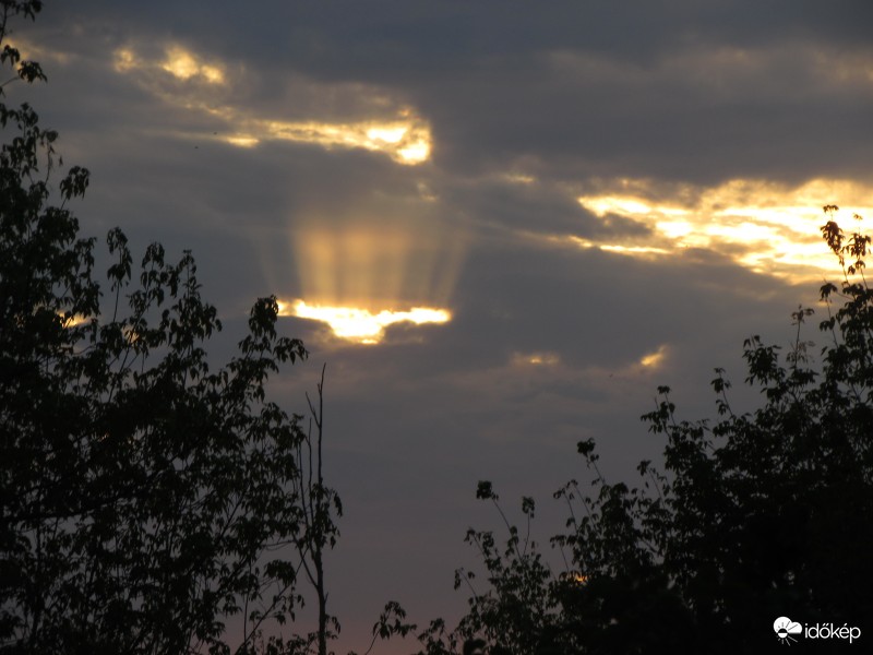 partvis fej napfényből