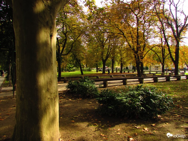 bágyadt, októberi napsütésben