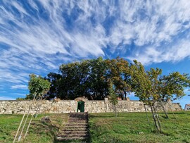 Pásztó