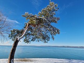 Balatonföldvár