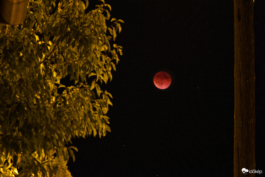 Részleges holdfogyatkozás