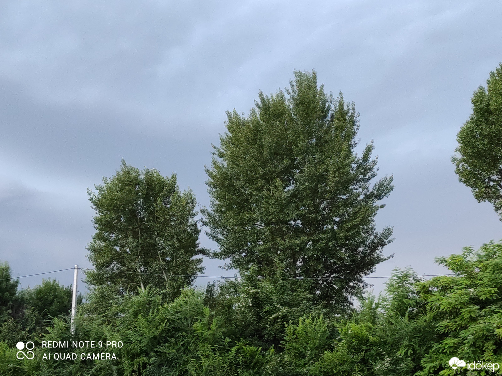 Észlelési fényképek