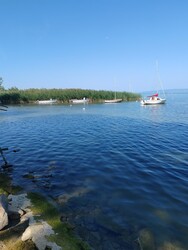 Balatonfenyves