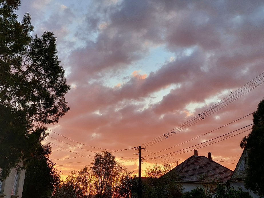 Észlelési fényképek