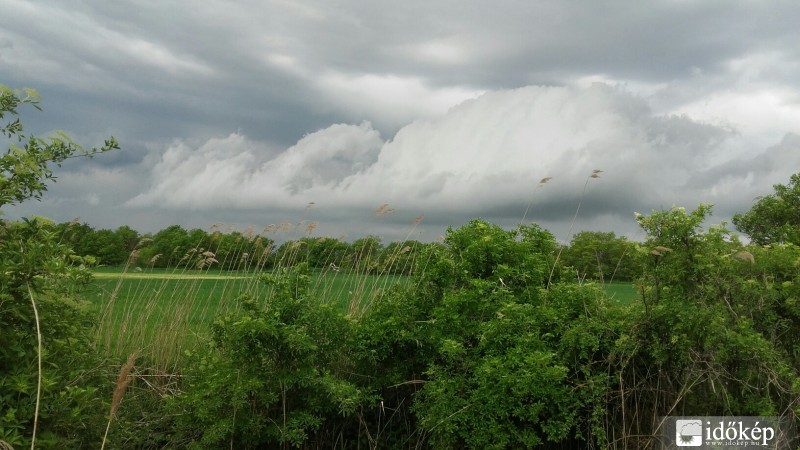 Észlelési fényképek