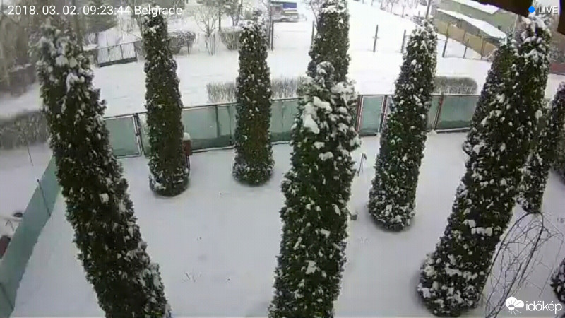 Észlelési fényképek