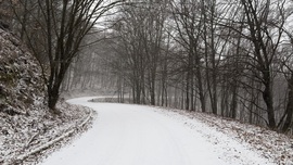 robertobaggio fotója