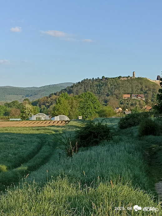 Nógrád