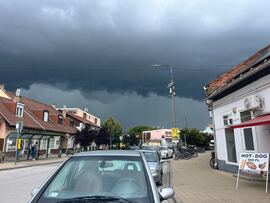 Polgár