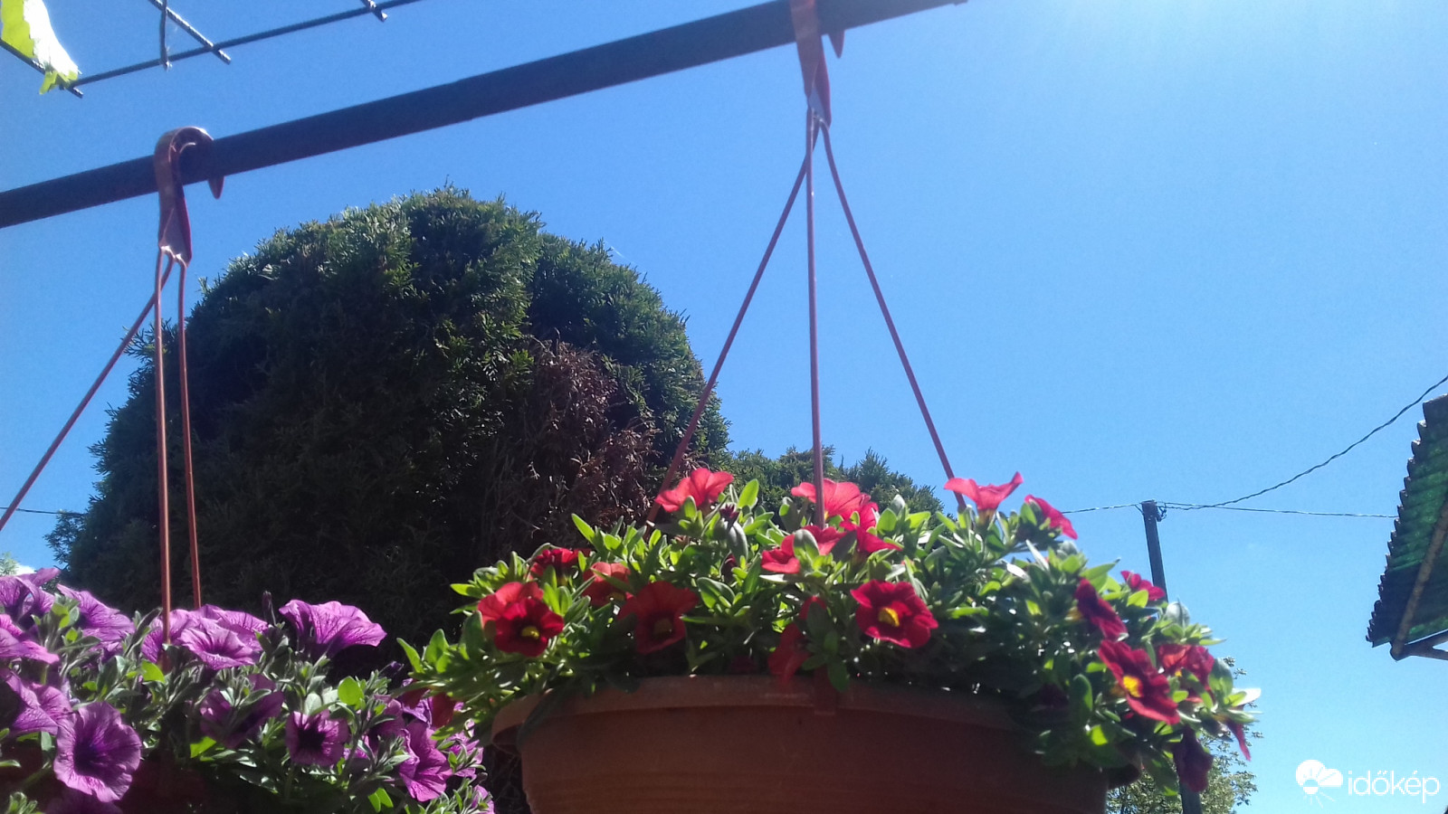 Észlelési fényképek