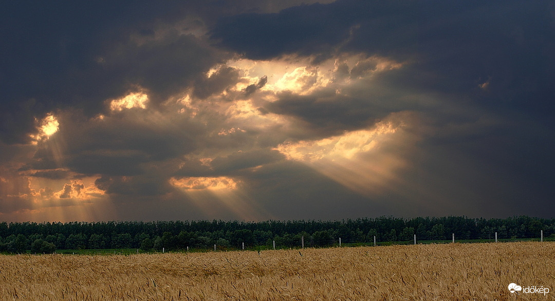 Polgár, Tisza környéke 2010