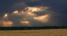 Polgár, Tisza környéke 2010