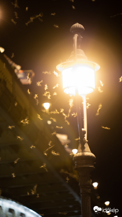 Észlelési fényképek