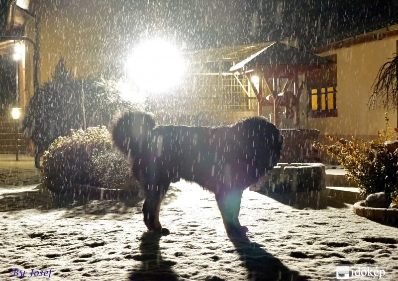 Sűrű pelyhekben esik.. 2016.01.23. 18:20