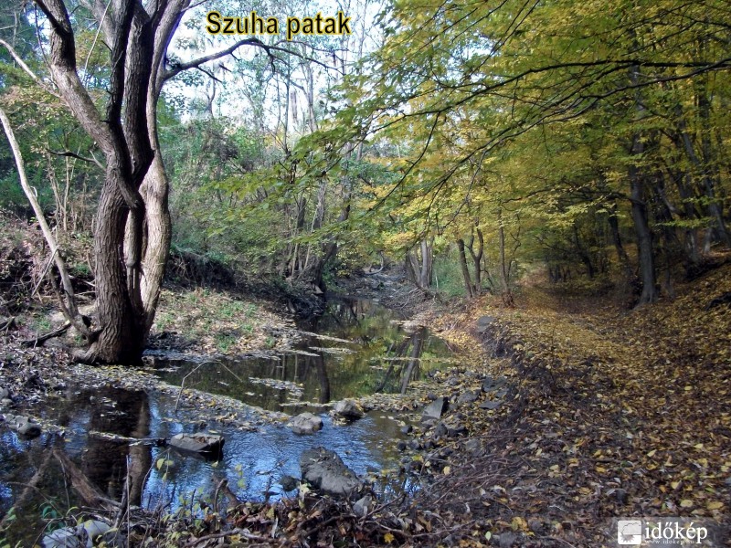 Ősz a Szuha pataknál