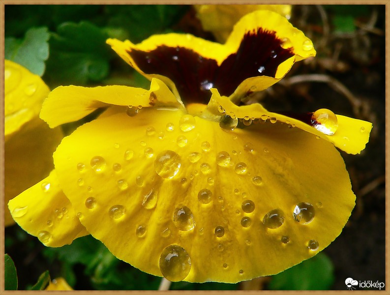 pár csepp eső után