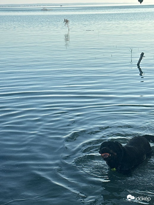 Balatonaliga