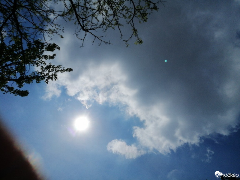 Észlelési fényképek