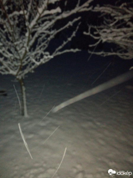 Észlelési fényképek