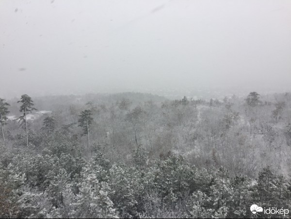 Észlelési fényképek