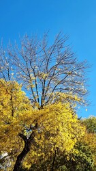 Budapest II.ker - Törökvész