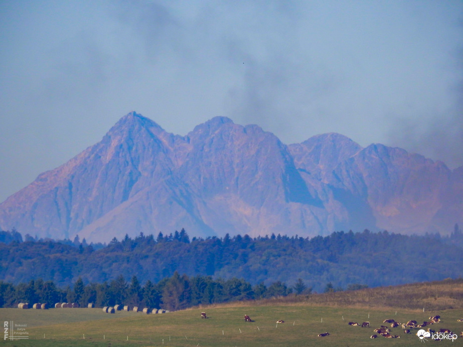 Észlelési fényképek