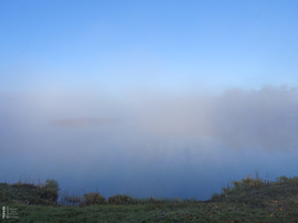 Ködös reggel a tiszalöki Kis-Tiszán