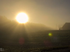 Ködös reggel a tiszalöki Kis-Tiszán