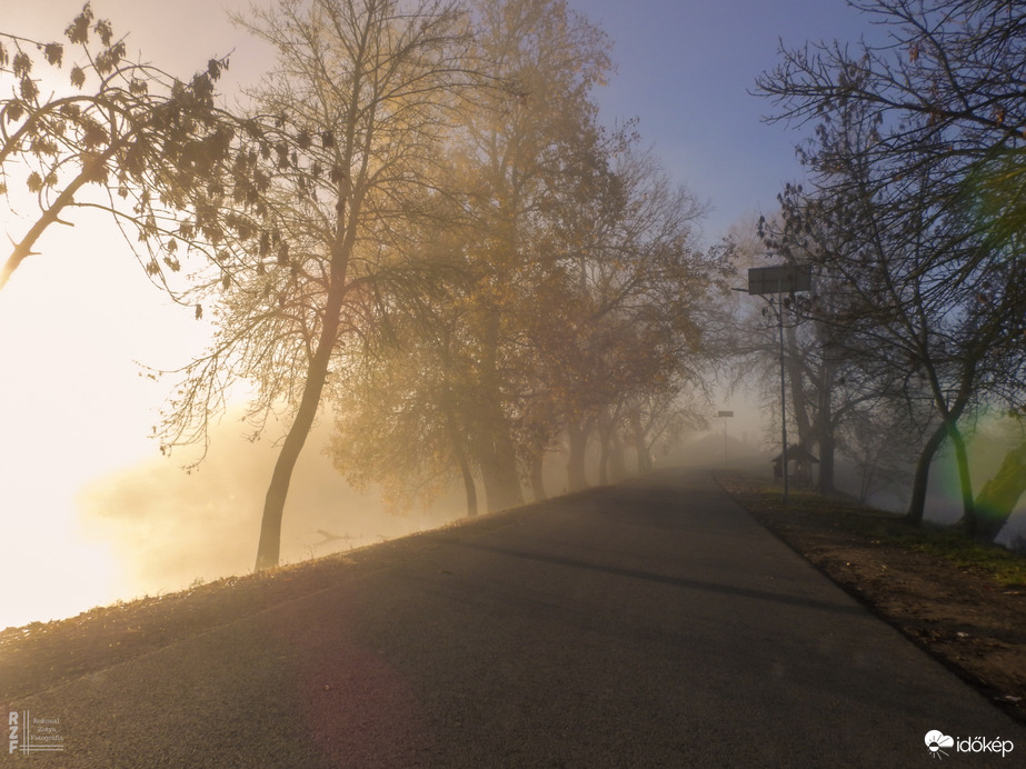 Ködös reggel a tiszalöki Kis-Tiszán
