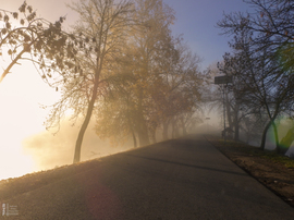 Ködös reggel a tiszalöki Kis-Tiszán