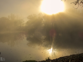 Ködös reggel a tiszalöki Kis-Tiszán