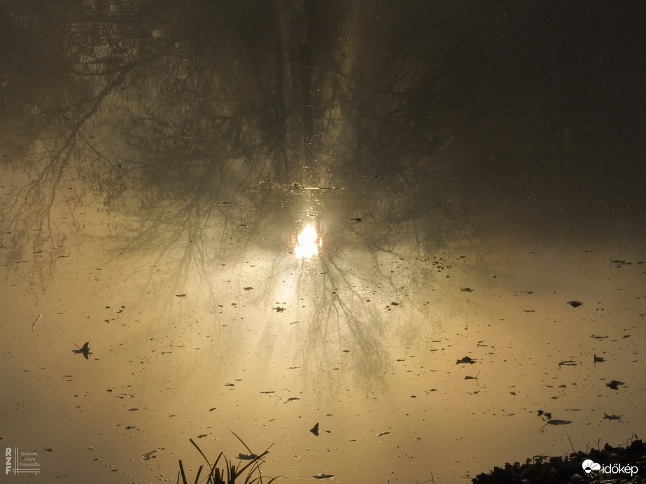 Ködös reggel a tiszalöki Kis-Tiszán