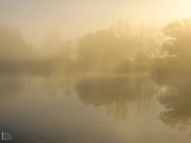 Ködös reggel a tiszalöki Kis-Tiszán