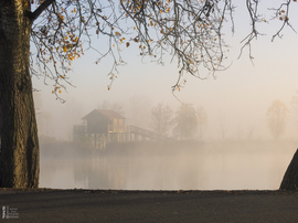 Ködös reggel a tiszalöki Kis-Tiszán