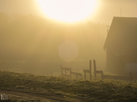 Ködös reggel a tiszalöki Kis-Tiszán