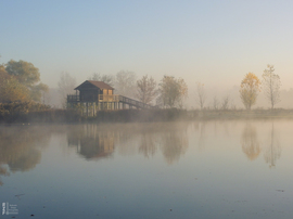 Ködös reggel a tiszalöki Kis-Tiszán