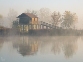 Ködös reggel a tiszalöki Kis-Tiszán