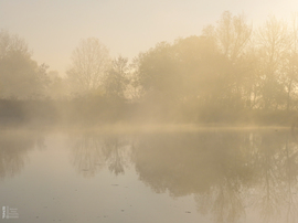 Ködös reggel a tiszalöki Kis-Tiszán