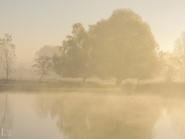 Ködös reggel a tiszalöki Kis-Tiszán
