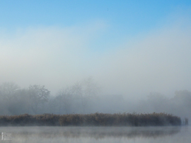 Ködös reggel a tiszalöki Kis-Tiszán