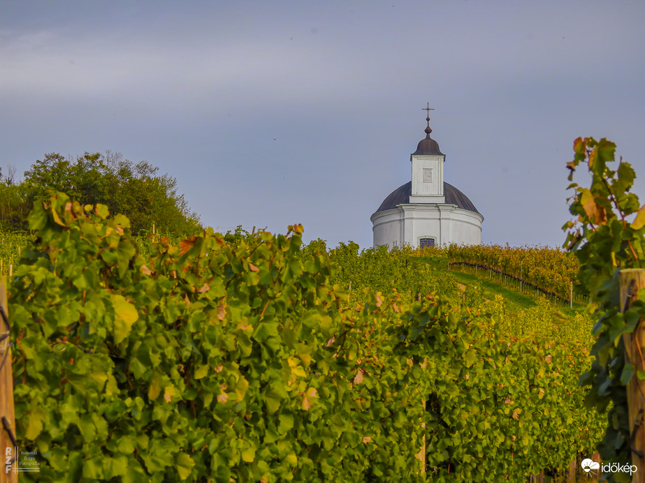 Tarcal – az aranyhegyek kapuja
