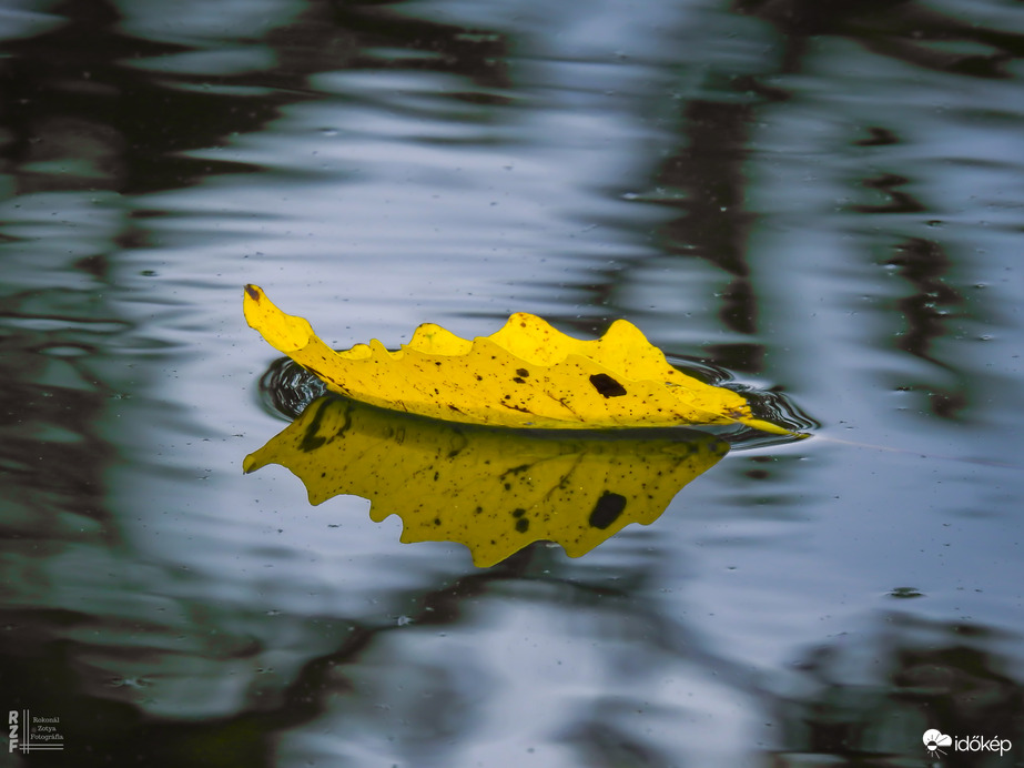 Őszi álom a tiszalöki Nagy-Tisza partján