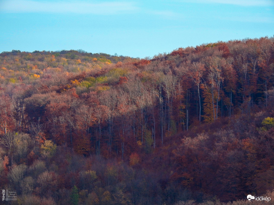 Jártamban, keltemben - erdőn, réten