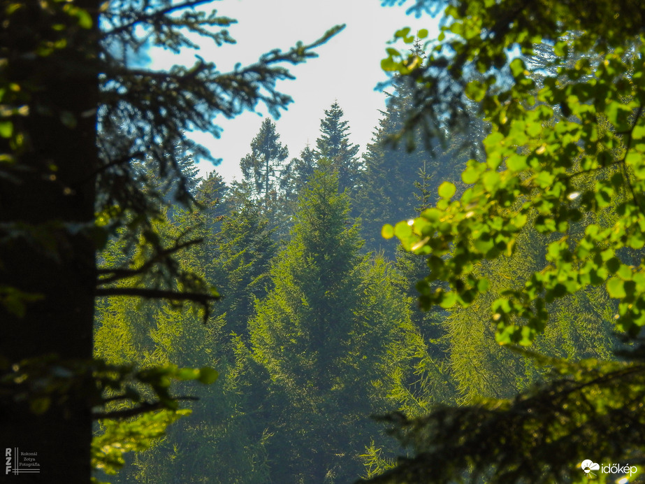 Észlelési fényképek