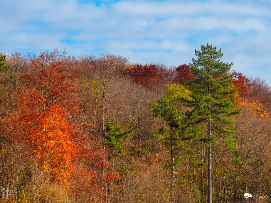 Jártamban, keltemben - erdőn, réten