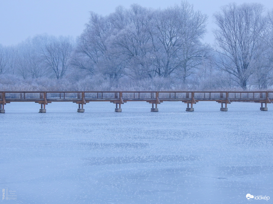 Nem mindennapi fagyvirágok nyílnak a Kis-Tiszán
