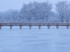Nem mindennapi fagyvirágok nyílnak a Kis-Tiszán