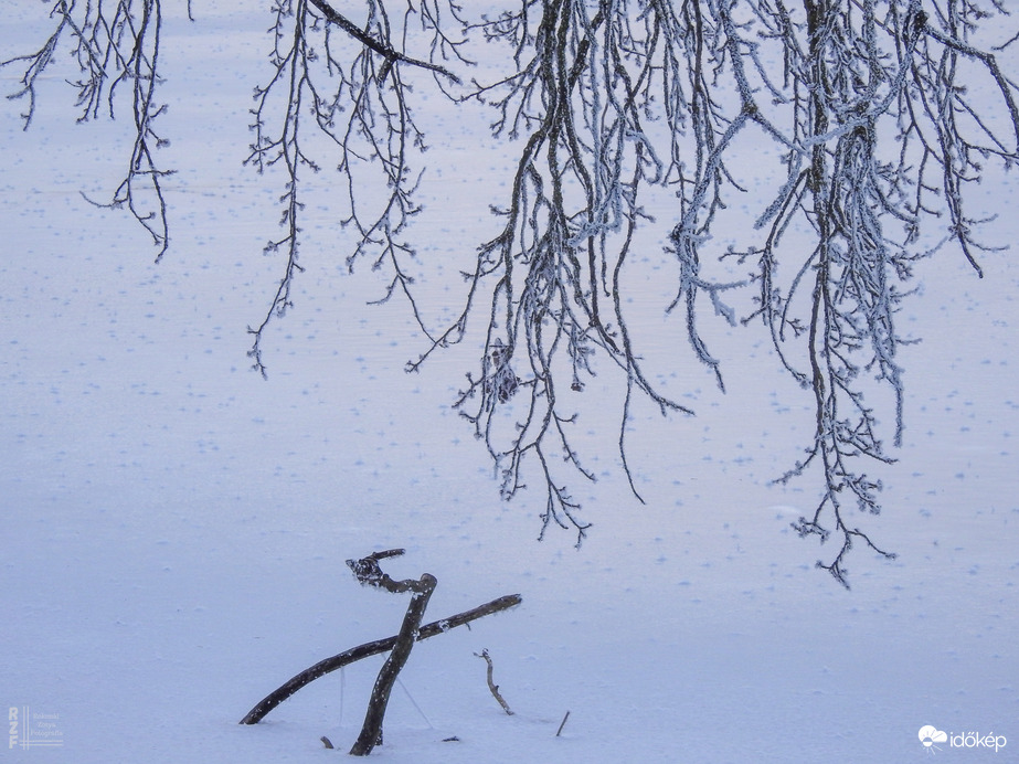 Nem mindennapi fagyvirágok nyílnak a Kis-Tiszán