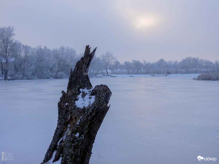 Nem mindennapi fagyvirágok nyílnak a Kis-Tiszán